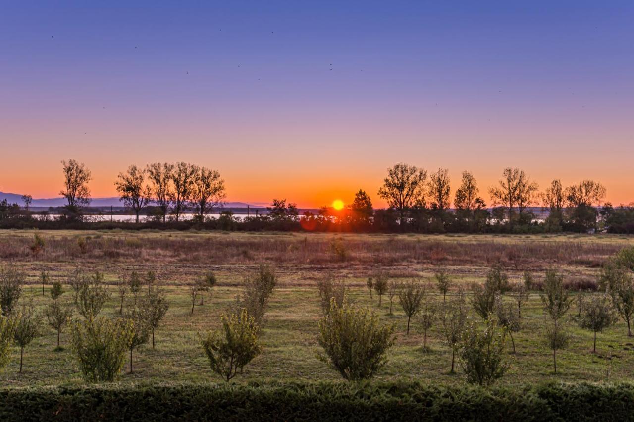 Stejarii Resort Ineu  Εξωτερικό φωτογραφία