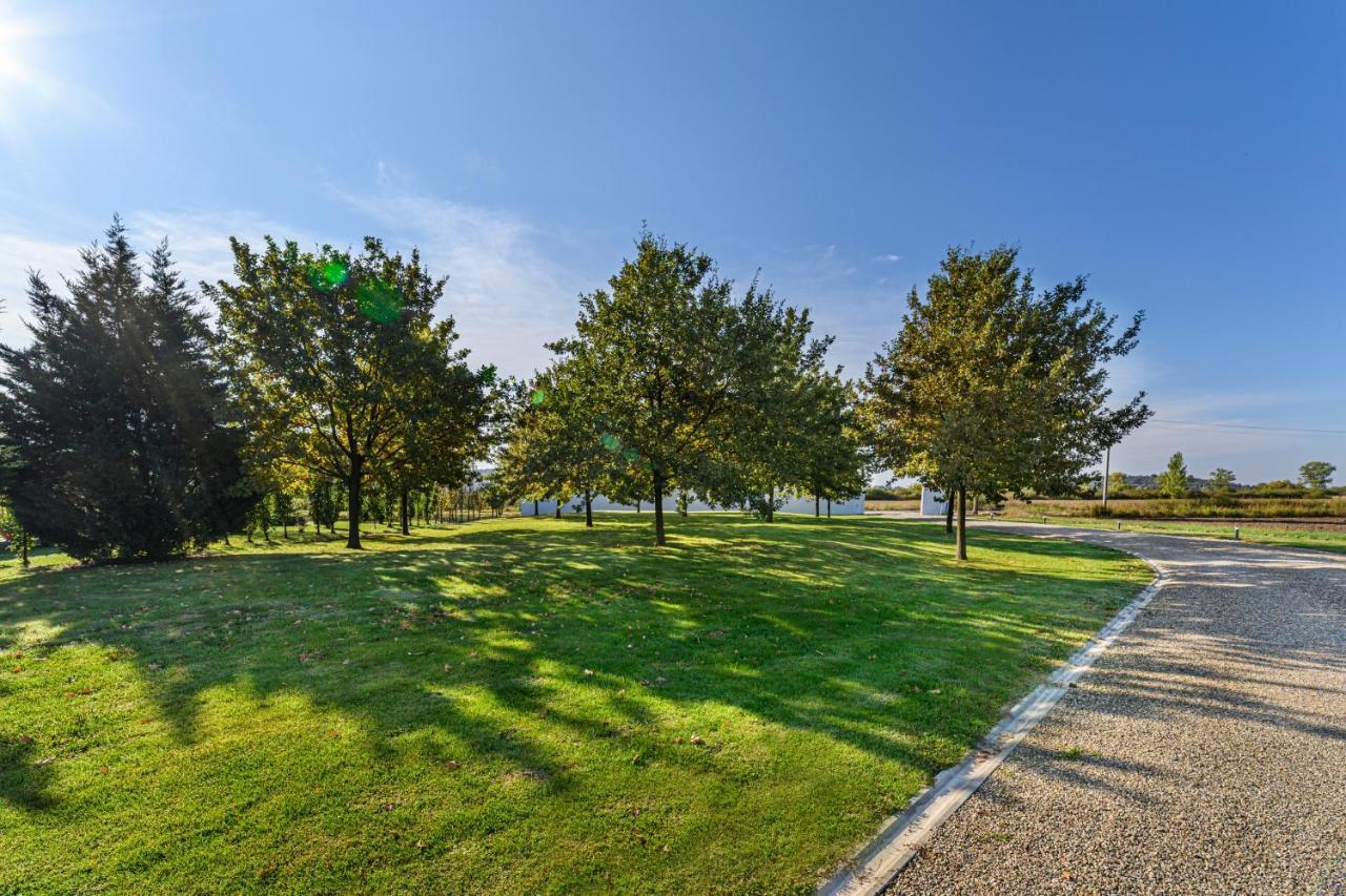 Stejarii Resort Ineu  Εξωτερικό φωτογραφία